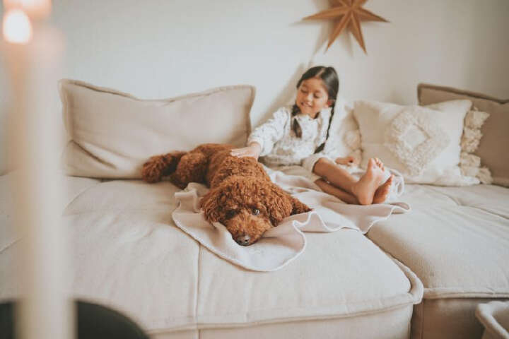 HUNTER Hundedecke Casper